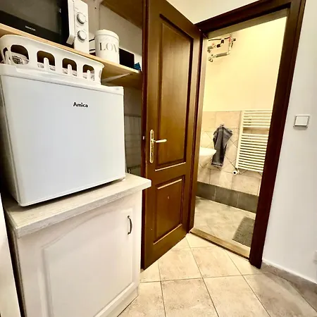 Nerudova 36 براغ